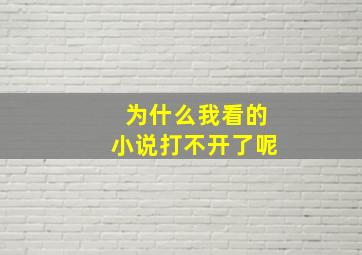 为什么我看的小说打不开了呢