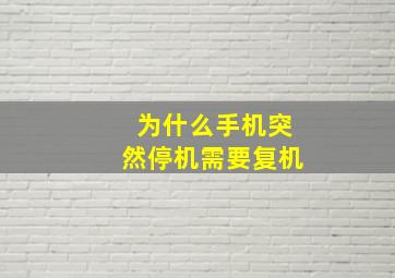 为什么手机突然停机需要复机