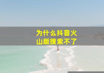 为什么抖音火山版搜索不了