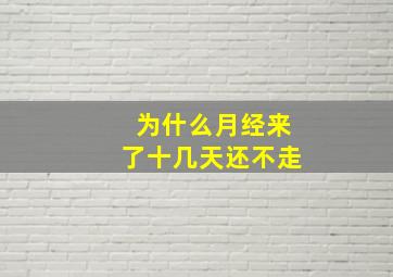 为什么月经来了十几天还不走