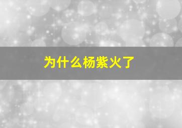 为什么杨紫火了