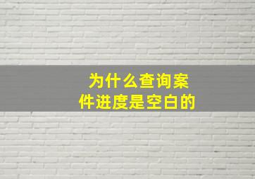 为什么查询案件进度是空白的