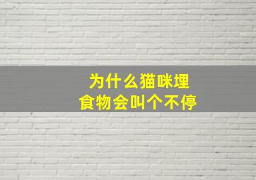 为什么猫咪埋食物会叫个不停