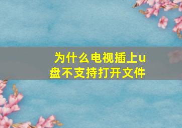 为什么电视插上u盘不支持打开文件