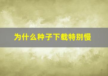 为什么种子下载特别慢