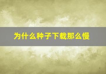 为什么种子下载那么慢