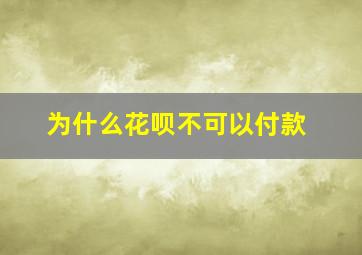 为什么花呗不可以付款