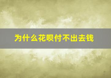 为什么花呗付不出去钱