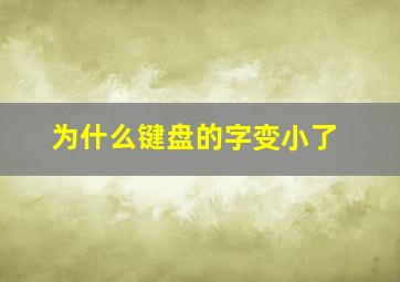 为什么键盘的字变小了