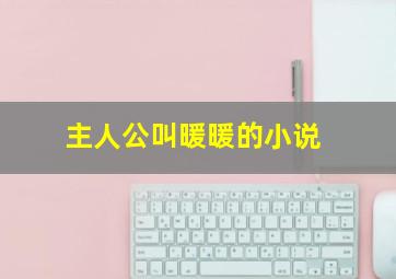 主人公叫暖暖的小说