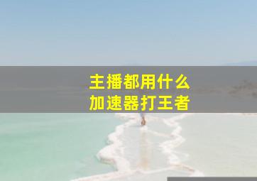 主播都用什么加速器打王者