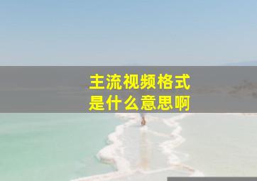 主流视频格式是什么意思啊