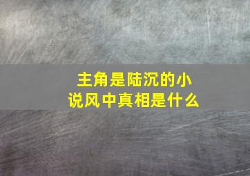 主角是陆沉的小说风中真相是什么