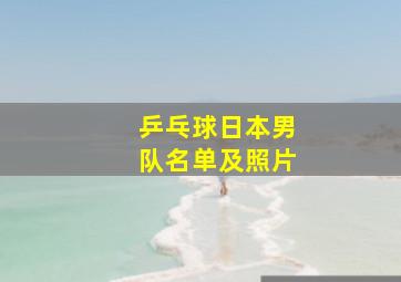 乒乓球日本男队名单及照片