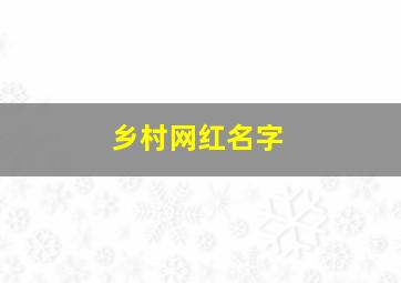 乡村网红名字