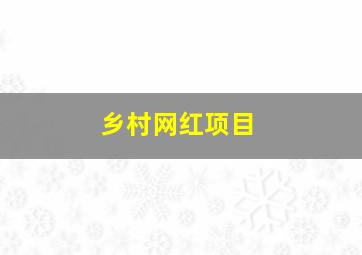 乡村网红项目