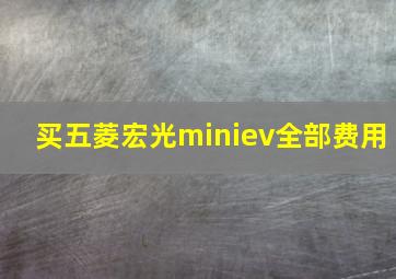 买五菱宏光miniev全部费用