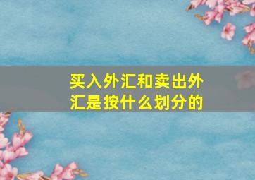 买入外汇和卖出外汇是按什么划分的