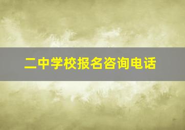 二中学校报名咨询电话