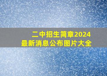 二中招生简章2024最新消息公布图片大全