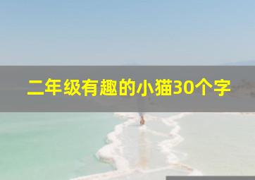 二年级有趣的小猫30个字