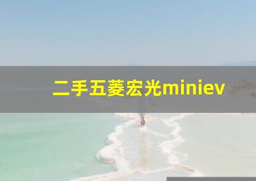 二手五菱宏光miniev