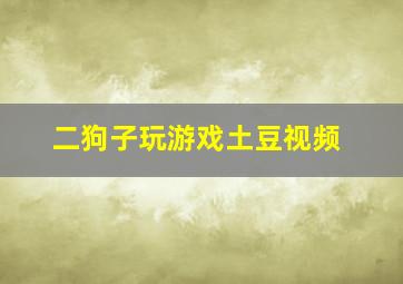 二狗子玩游戏土豆视频