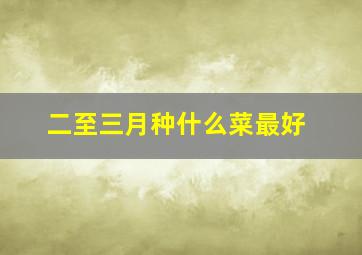 二至三月种什么菜最好