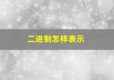 二进制怎样表示