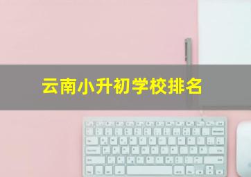 云南小升初学校排名