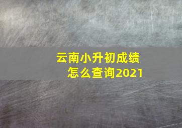 云南小升初成绩怎么查询2021