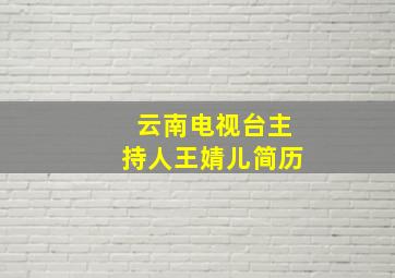 云南电视台主持人王婧儿简历