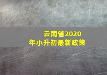 云南省2020年小升初最新政策