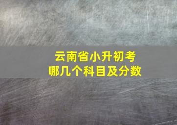 云南省小升初考哪几个科目及分数