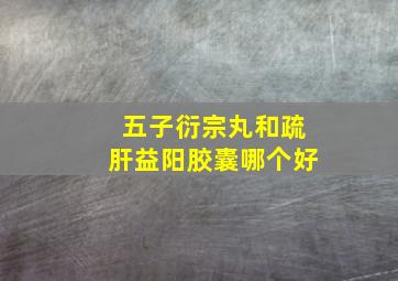 五子衍宗丸和疏肝益阳胶囊哪个好