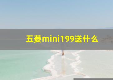 五菱mini199送什么