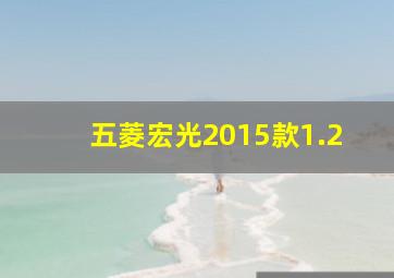 五菱宏光2015款1.2