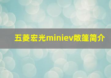 五菱宏光miniev敞篷简介