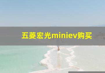 五菱宏光miniev购买