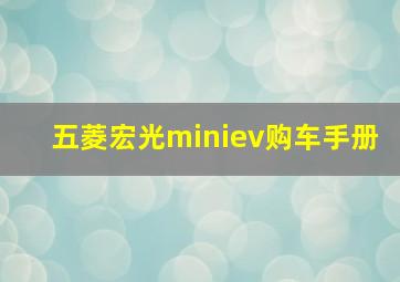 五菱宏光miniev购车手册