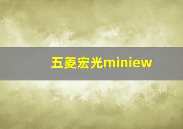 五菱宏光miniew