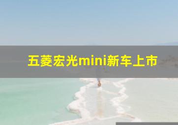 五菱宏光mini新车上市