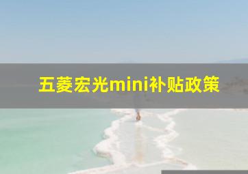 五菱宏光mini补贴政策