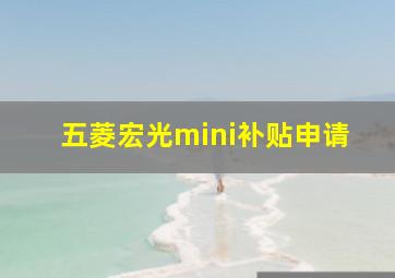 五菱宏光mini补贴申请