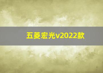 五菱宏光v2022款