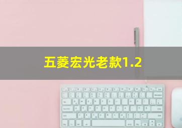 五菱宏光老款1.2