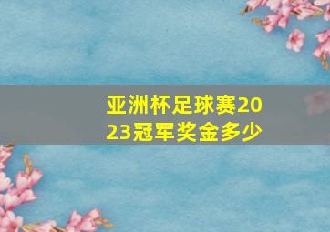 亚洲杯足球赛2023冠军奖金多少