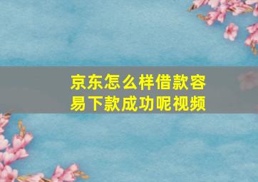 京东怎么样借款容易下款成功呢视频