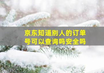 京东知道别人的订单号可以查询吗安全吗