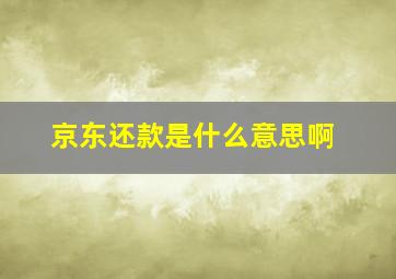 京东还款是什么意思啊